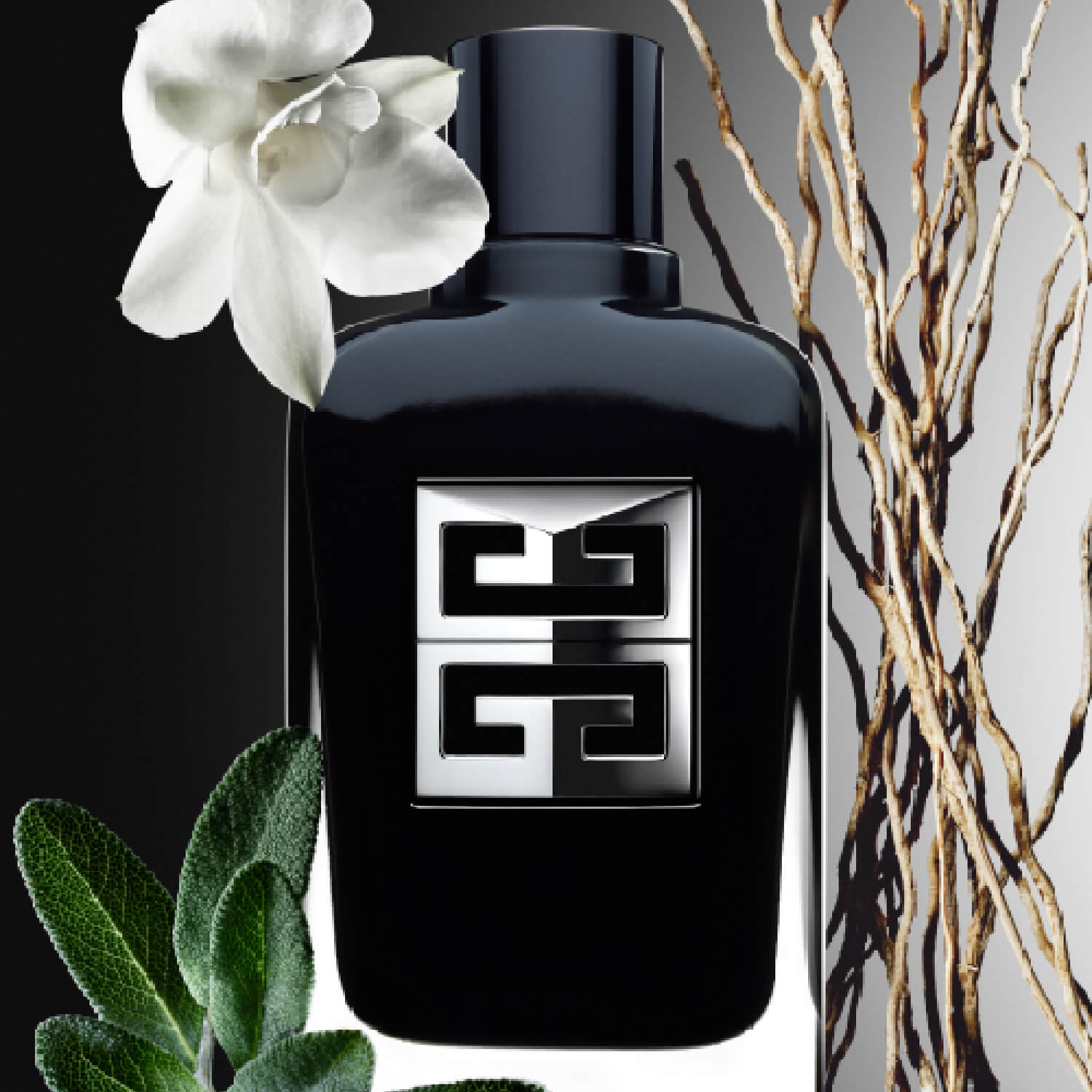 FRAGANCIA MASCULINA GENTLEMAN SOCIETY EAU DE PARFUM